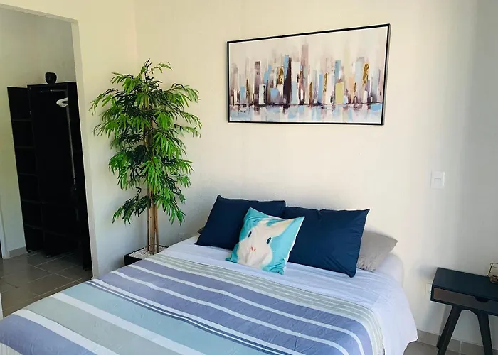 Franks House Luxury Apartment \
